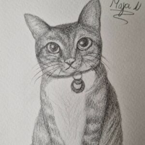 Sunday Once a Month Art Class (For students in P6 -S6)