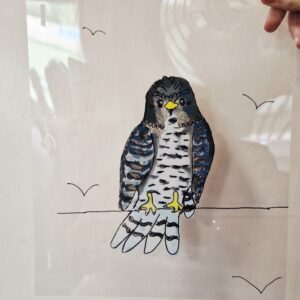 Anime Drawing Workshop for P5 – S6 age group